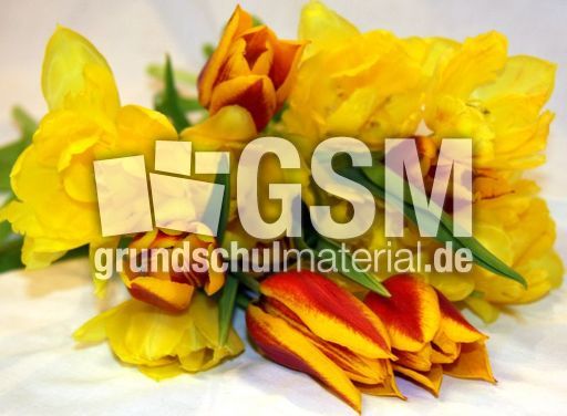 C-Tulpenstrauss-45.jpg
